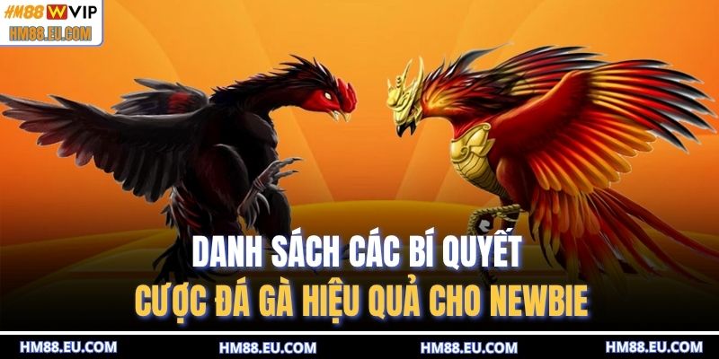 Danh sách các bí quyết cược đá gà hiệu quả cho newbie