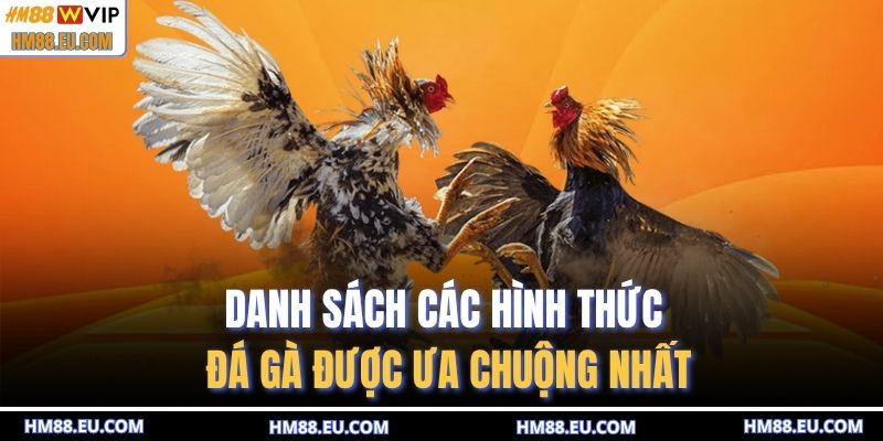 Danh sách các hình thức đá gà được ưa chuộng nhất
