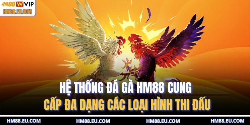 Hệ thống đá gà HM88 cung cấp đa dạng các loại hình thi đấu