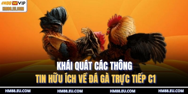 Khái quát các thông tin hữu ích về đá gà trực tiếp c1