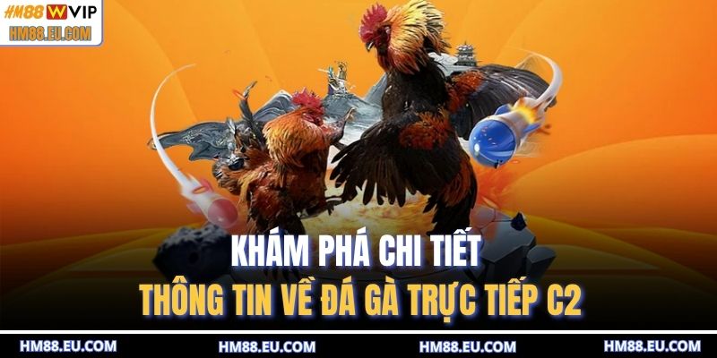 Khám phá chi tiết thông tin về đá gà trực tiếp c2