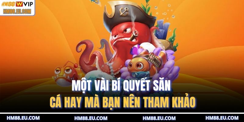 Một vài bí quyết săn cá hay mà bạn nên tham khảo