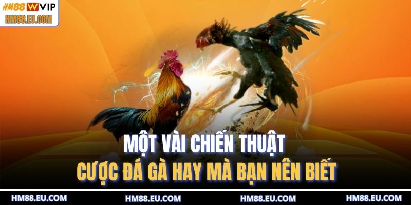 Một vài chiến thuật cược đá gà hay mà bạn nên biết