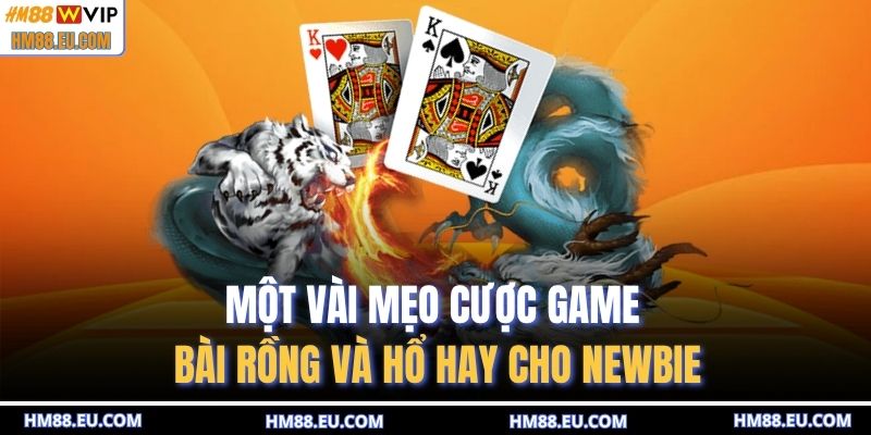 Một vài mẹo cược game bài rồng và hổ hay cho newbie