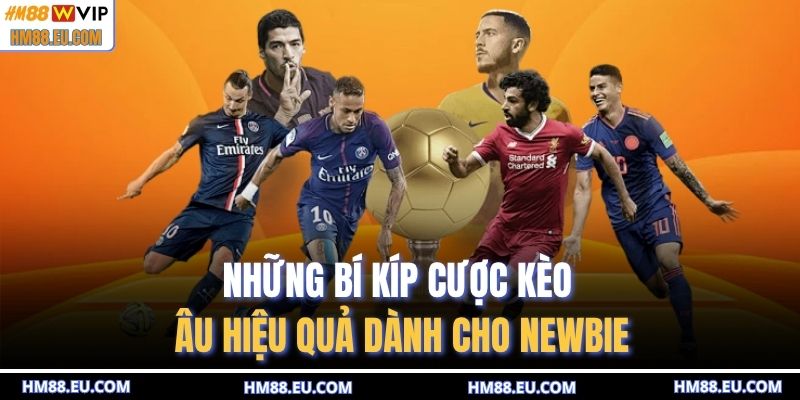 Những bí kíp cược kèo Âu hiệu quả dành cho newbie