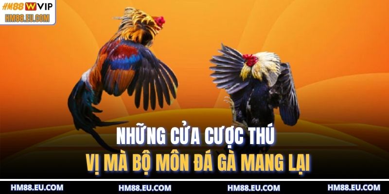 Những cửa cược thú vị mà bộ môn đá gà mang lại