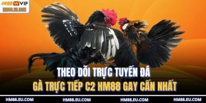 Đá gà trực tiếp C2