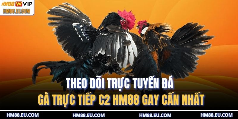 Đá gà trực tiếp C2