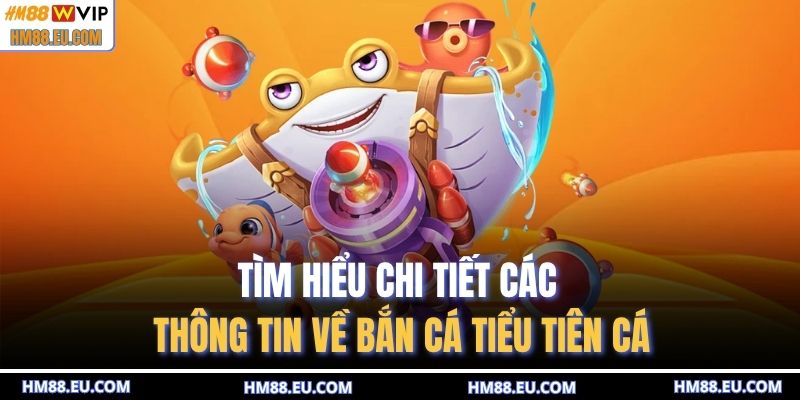 Tìm hiểu chi tiết các thông tin về bắn cá tiểu tiên cá
