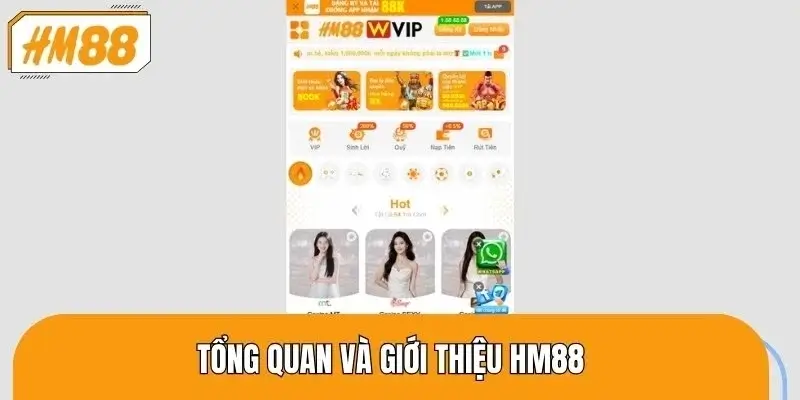 Một số thông tin tổng quan giới thiệu HM88